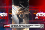 Corpo de Bombeiros captura jiboia em motor de caminh&atilde;o &ndash; V&iacute;deo