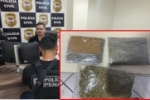 Delegado indicia três mulheres presas levando skunk para os maridos no 603