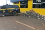 VILHENA: PRF apreende 220 Kg de skunk em compartimento oculto de um caminhão – Vídeo