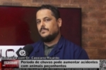 Per&iacute;odo chuvoso pode aumentar acidentes com animais pe&ccedil;onhentos &ndash; V&iacute;deo