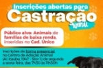 Prefeitura de Ariquemes abre cadastramento para castra&ccedil;&atilde;o de animais dom&eacute;sticos de fam&iacute;lias inseridas no Cad. &Uacute;nico em Ariquemes