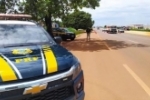 Opera&ccedil;&atilde;o da PRF n&atilde;o registra mortes em rodovias de RO e prende 18 pessoas