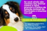 Centro de Ado&ccedil;&atilde;o de animais de Ariquemes oferta vacina&ccedil;&atilde;o antirr&aacute;bica