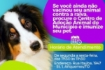 SEMSAU lan&ccedil;a dia “D” da vacina&ccedil;&atilde;o antirr&aacute;bica no Centro de Ado&ccedil;&atilde;o &ndash; V&iacute;deo