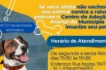 J&aacute; est&aacute; sendo ofertada a vacina&ccedil;&atilde;o antirr&aacute;bica animal (para c&atilde;es e gatos) no Centro de Ado&ccedil;&atilde;o Animal