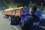 Em Porto Velho/RO, PRF identifica transporte irregular de madeira