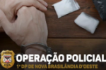 POL&Iacute;CIA CIVIL DE ROND&Ocirc;NIA REALIZA O CUMPRIMENTO DE MANDADOS DE BUSCA E APREENS&Atilde;O EM NOVA BRASIL&Acirc;NDIA D'OESTE