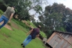 Pol&iacute;cia Civil prende em Seringueiras acusado de matar “colega de trabalho” e jogar corpo em pastagem, em Costa Marques; V&iacute;deo e fotos