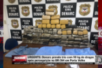 URGENTE: Denarc prende trio com 90 kg de drogas ap&oacute;s persegui&ccedil;&atilde;o na BR&ndash;364 em Porto Velho &ndash; LIVE: ESTAMOS NO AR! PROGRAMA BRONCA DA PESADA
