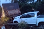 V&Iacute;DEOS: Carreta capota ap&oacute;s ser atingida por &aacute;rvore na BR&ndash;435 entre Cerejeiras e Colorado