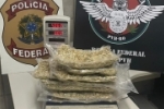 PF PRENDE EM FLAGRANTE PASSAGEIRO TENTANDO EMBARCAR COM COCAÍNA NO AEROPORTO DE PORTO VELHO/RO