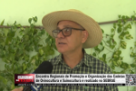Encontro Regionais de Promo&ccedil;&atilde;o e Organiza&ccedil;&atilde;o das Cadeias de Ovinocultura e Suinocultura &eacute; realizado no SEBRAE &ndash; V&iacute;deo