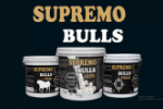 Para um melhor desenvolvimento do seu rebanho, indicamos Supremo Bulls!