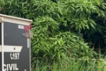URGENTE: Homem &eacute; encontrado morto embaixo de p&eacute; de manga na Rua Esparta