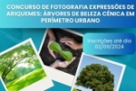 Prefeitura de Ariquemes lan&ccedil;a concurso para premiar a fotografias de &aacute;rvores em per&iacute;metro  urbano do munic&iacute;pio