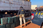PRF prende um e apreende carga de quase 600 kg de cocaína que saiu de Rondônia em carreta de sucata