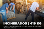 Polícia Civil de Rondônia incinera 419 kg de maconha skunk em Vilhena