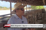 Está chegando a Agroari e o Concurso Leiteiro – Vídeo