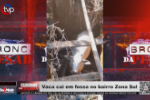 Vaca cai em fossa no bairro Jardim Zona Sul – Vídeo