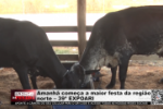 Amanh&atilde; come&ccedil;a a maior festa da regi&atilde;o norte &ndash; 39&ordf; EXPOARI &ndash; V&iacute;deo