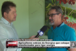 Agricultores cobram da Energisa que coloque transformador para ligar energia &ndash; V&iacute;deo