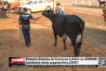 Primeira Ordenha do Concurso Leiteiro na AGROARI aconteceu nesta segunda feira 29/07 &ndash; V&iacute;deo