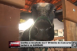 Confira o resultado da 5ª ordenha do Concurso Leiteiro na AGROARI – Vídeos