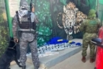 Pol&iacute;cia Militar apreende quase 70 kg de drogas na regi&atilde;o de fronteira