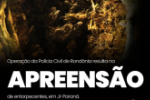 POL&Iacute;CIA CIVIL REALIZA OPERA&Ccedil;&Atilde;O E APREENDE ENTORPECENTES EM JI&ndash;PARAN&Aacute;