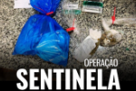 OPERAÇÃO SENTINELA COMBATE O TRÁFICO DE DROGAS EM PIMENTA BUENO