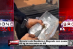 Motorista de Rondônia é flagrado com quase 45 kg de maconha no Mato Grosso – Vídeo