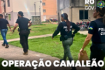 POL&Iacute;CIA CIVIL PRENDE COMPARSA DE L&Iacute;DER CRIMINOSO NA OPERA&Ccedil;&Atilde;O CAMALE&Atilde;O