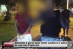 Elemento é preso após furtar cachorro e caixa de som em Ariquemes – Vídeo