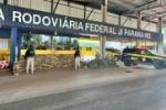 PRF realiza maior apreensão de drogas de sua história em Rondônia