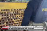 PRF faz apreensão recorde de mais de 2 toneladas de maconha tipo skunk, em Ji Paraná – Vídeo