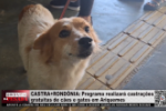 CASTRA+RONDÔNIA – Programa realizará castrações gratuitas de cães e gatos em Ariquemes – Vídeo