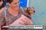 Programa realizará castrações gratuitas de cães e gatos em Ariquemes – Vídeo