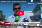 Mulher desvia de cachorro e capota carro na marginal da BR–364
