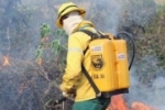 Corpo de Bombeiros abre 262 vagas para Brigadistas Temporários em Rondônia