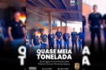 Polícia Civil incinera aproximadamente meia tonelada de entorpecentes no município de Pimenta Bueno