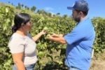 Equipe do deputado Delegado Lucas visita propriedade produtora de maracujá e inicia projeto de agroindústria familiar em Buritis