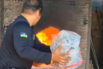 Polícia Civil de Rondônia realiza incineração de substâncias entorpecentes apreendidas em ações policiais