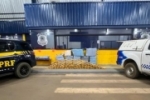 Em Vilhena, PRF apreende quase meia tonelada de drogas durante fiscalização de trânsito