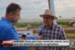 AGROARI: Curso de Inseticidas Naturais para Casa e Agricultura – Vídeo