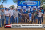 Acontece a 2ª Exposição de Girolando na 40ª EXPOARI – Vídeo
