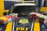 PRF apreende 25,6 kg de maconha em Vilhena