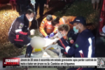 Mulher perde o controle de motoneta biz e acaba colidindo contra árvore na Av. Candeias em Ariquemes – LIVE: ESTAMOS NO AR! PROGRAMA BRONCA DA PESADA