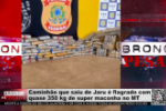 Caminhão que saiu de Jaru é flagrado com quase 350 kg de "supermaconha" em Mato Grosso – Vídeo
