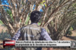 Vem aí o Festival da Jabuticaba nos dias 6 e 7 de setembro na propriedade do Sr. Osvaldo em Ariquemes – Vídeo