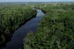 Governo de Rondônia conquista redução de 35% de áreas sob alerta de desmatamento